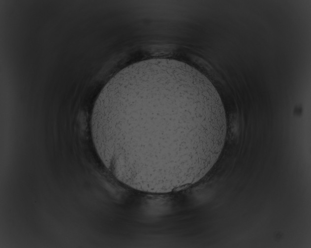 X0000091860667200710031041