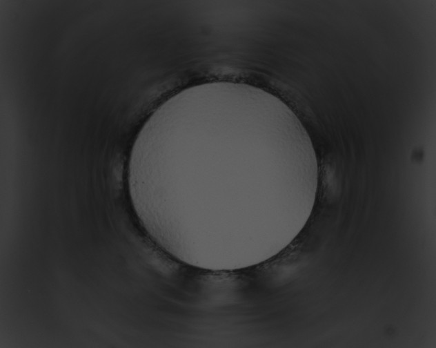 X0000091860668200710031041