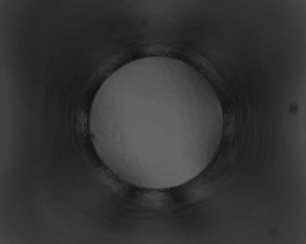 X0000091860669200710031041