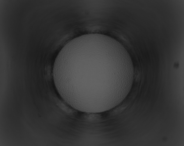 X0000091860670200710031041