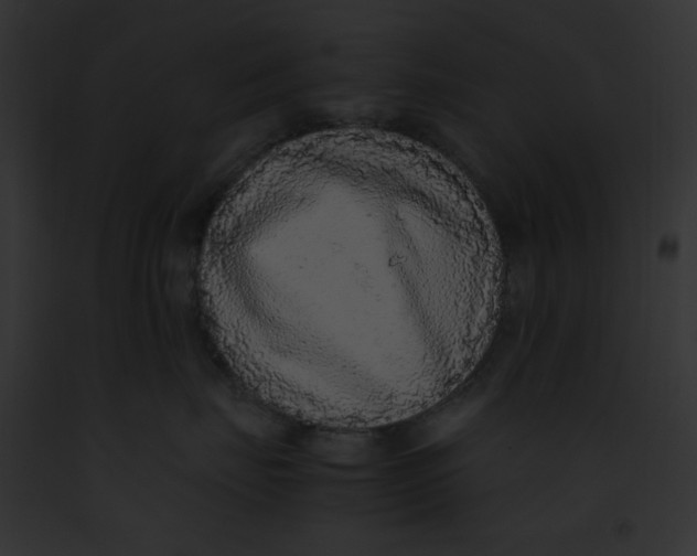 X0000091860671200710031041