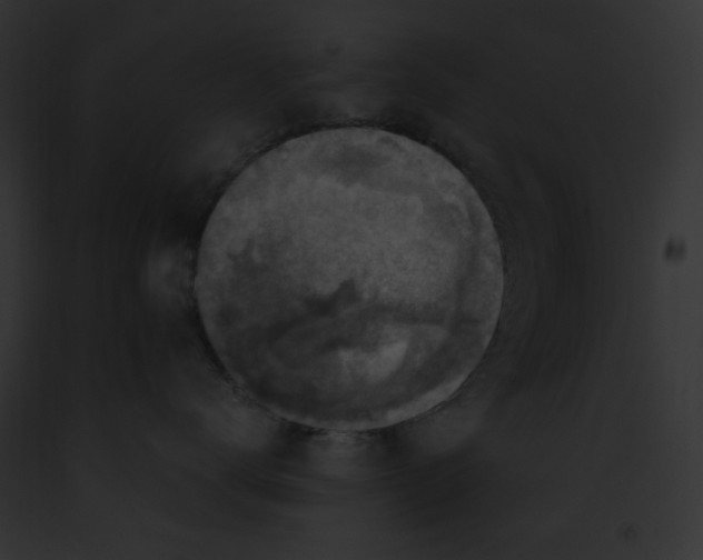 X0000091860672200710031041