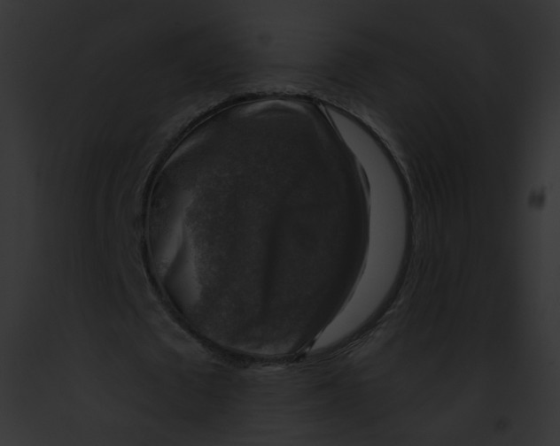 X0000091860673200710031041