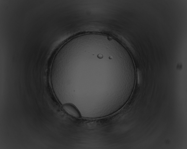 X0000091860675200710031041