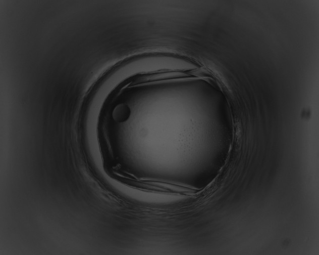 X0000091860676200710031041