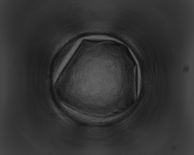 X0000091860677200710031041