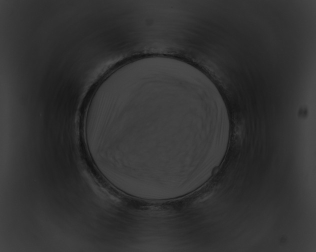 X0000091860678200710031041