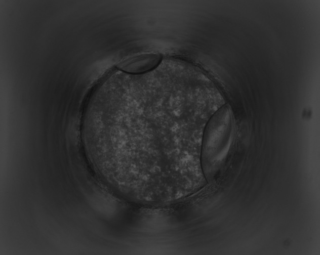 X0000091860679200710031041