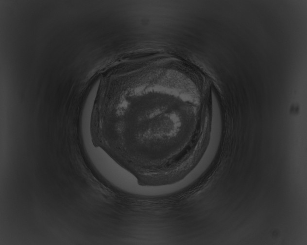 X0000091860681200710031041