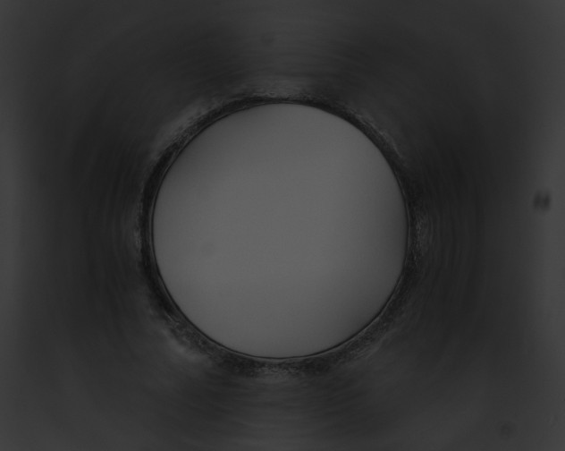 X0000091860682200710031041