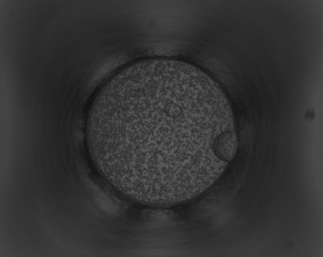 X0000091860683200710031041