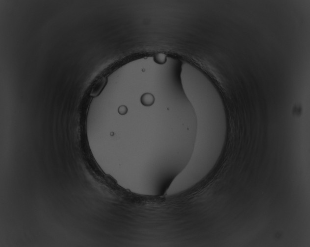 X0000091860684200710031041