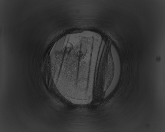 X0000091860685200710031041