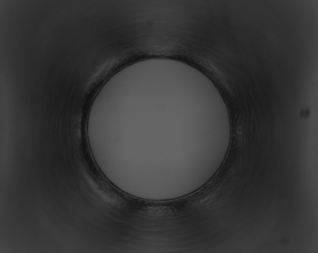 X0000091860686200710031041