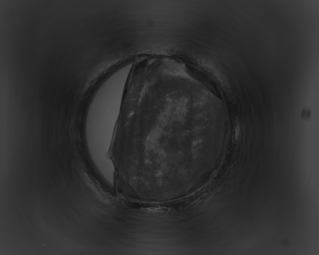 X0000091860688200710031040