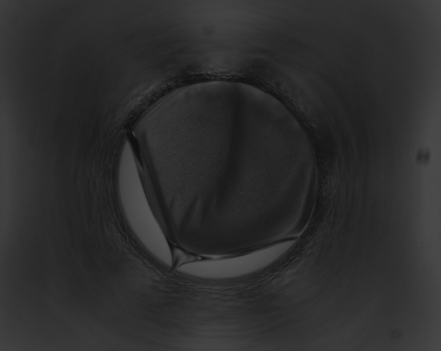 X0000091860689200710031040