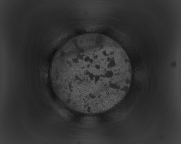 X0000091860691200710031040