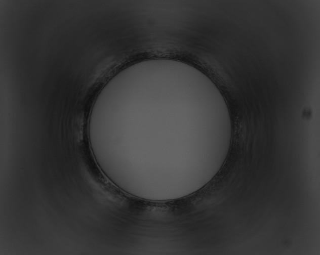 X0000091860694200710031040