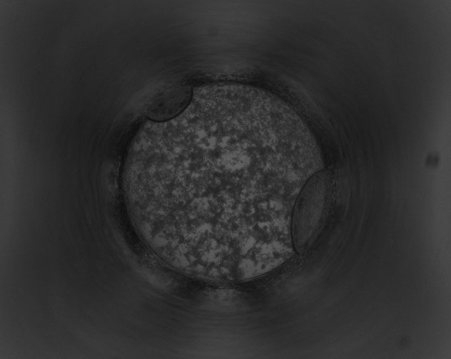 X0000091860695200710031040