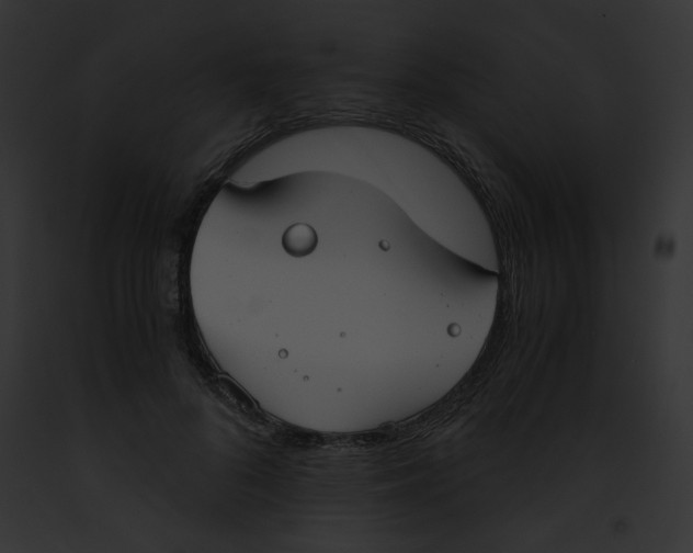 X0000091860696200710031040