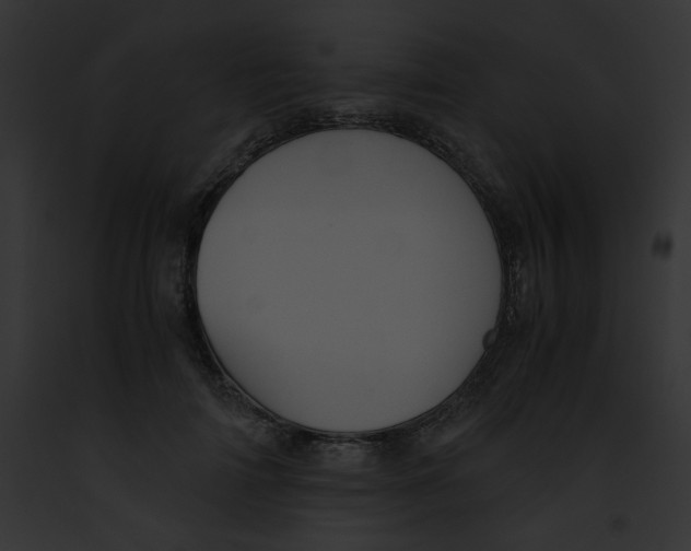 X0000091860698200710031040