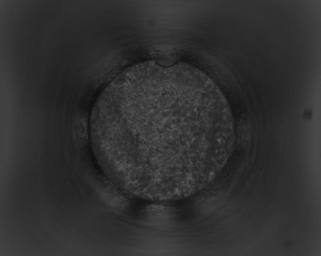 X0000091860699200710031040