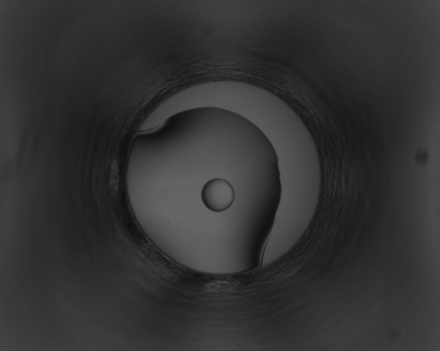 X0000091860700200710031040