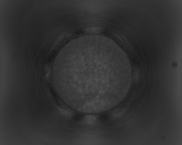 X0000091860701200710031040