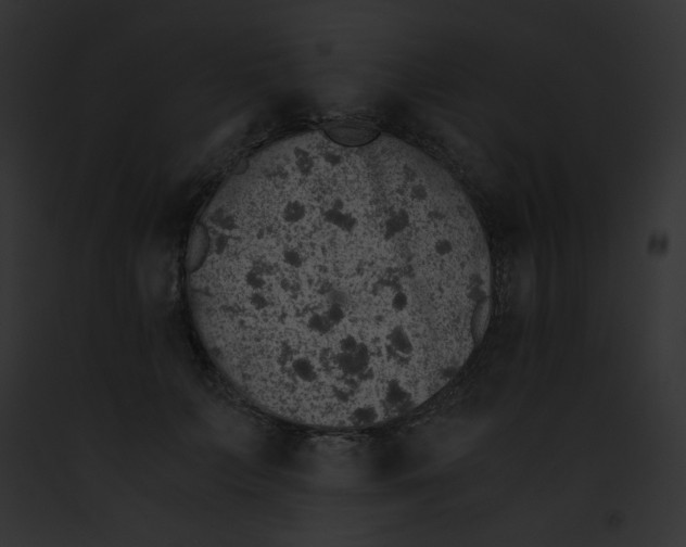 X0000091860703200710031040