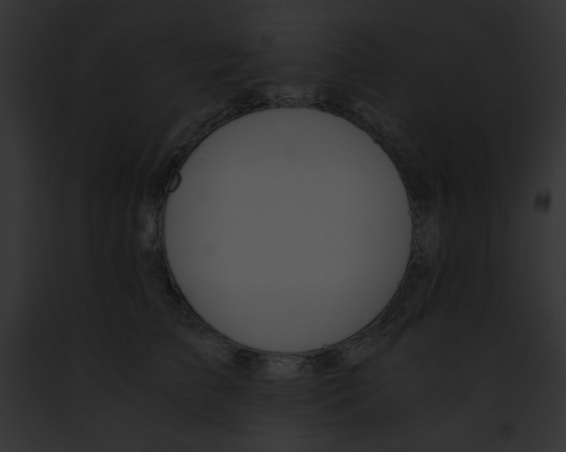 X0000091860709200710031040