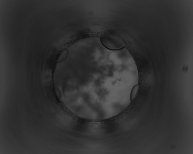 X0000091860711200710031040