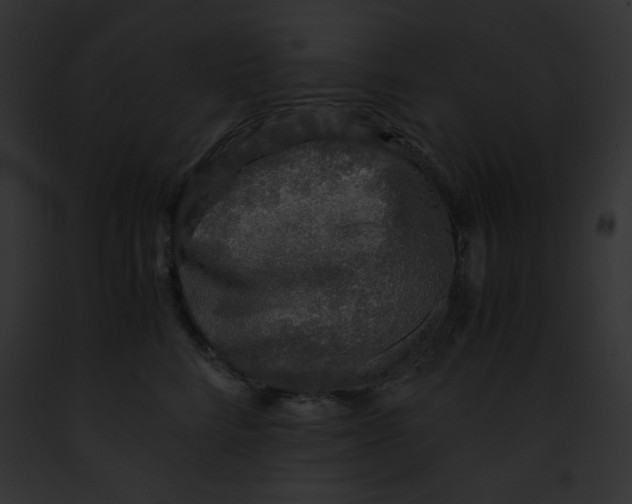 X0000091860712200710031040