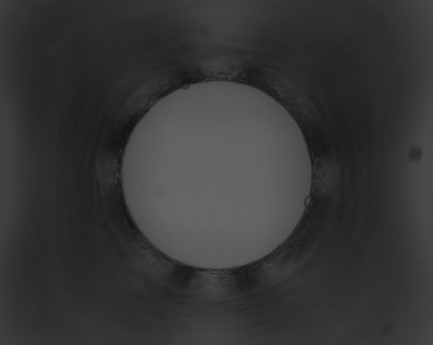 X0000091860713200710031040