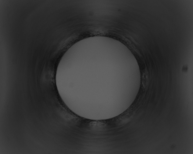 X0000091860714200710031040