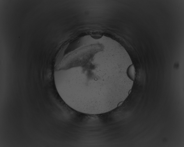 X0000091860715200710031040