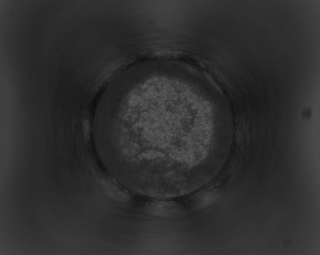 X0000091860716200710031040