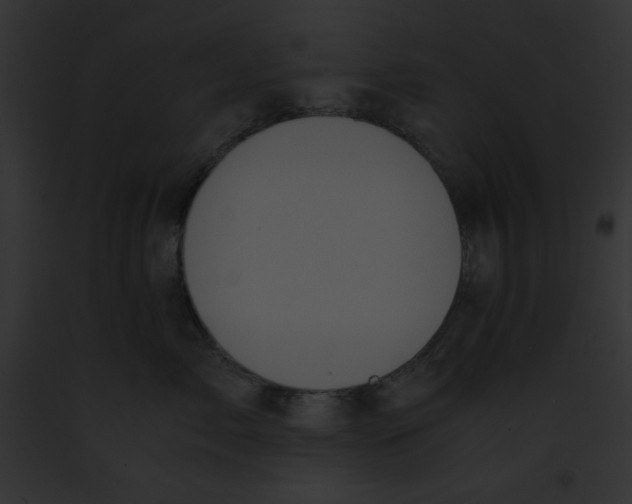 X0000091860717200710031040