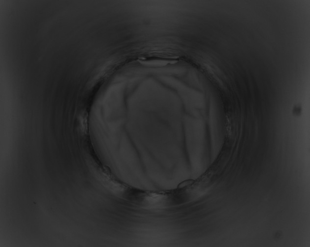 X0000091860718200710031040