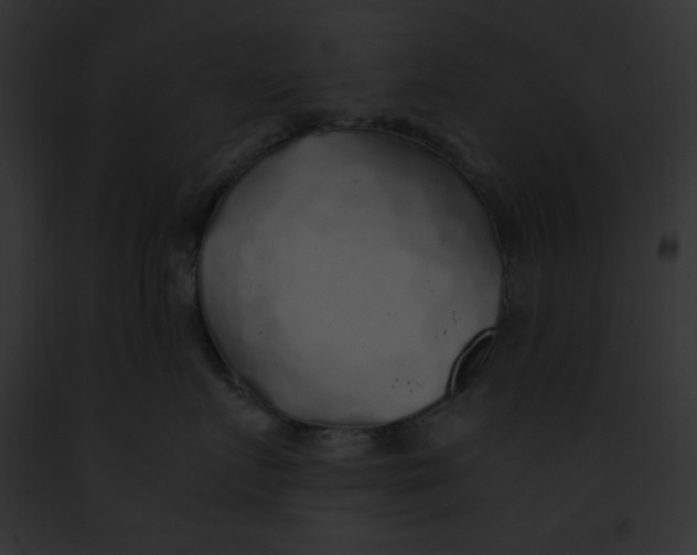 X0000091860719200710031040