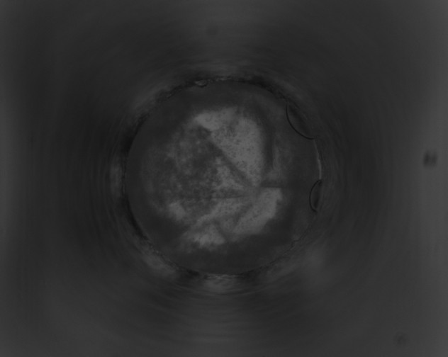 X0000091860720200710031040