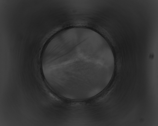 X0000091860721200710031039