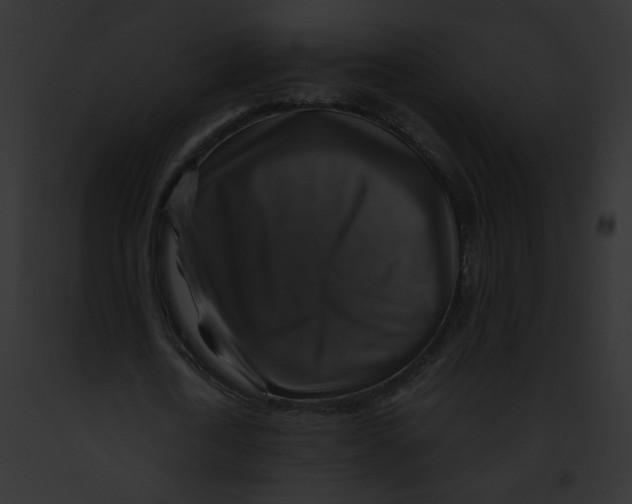 X0000091860722200710031039