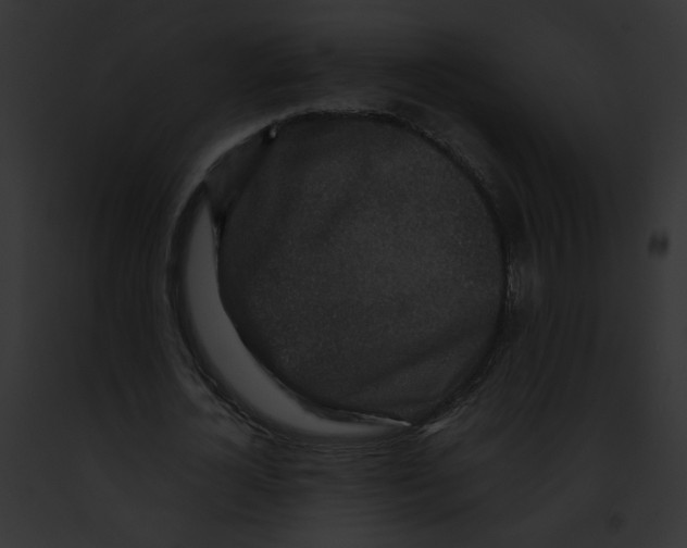 X0000091860724200710031040