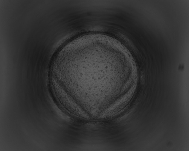 X0000091860725200710031040