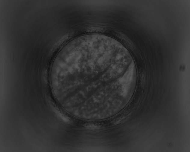 X0000091860729200710031040