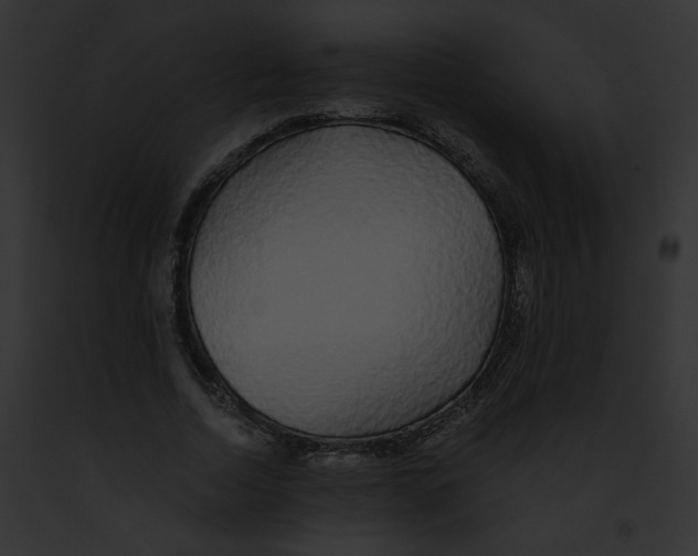 X0000091860730200710031040