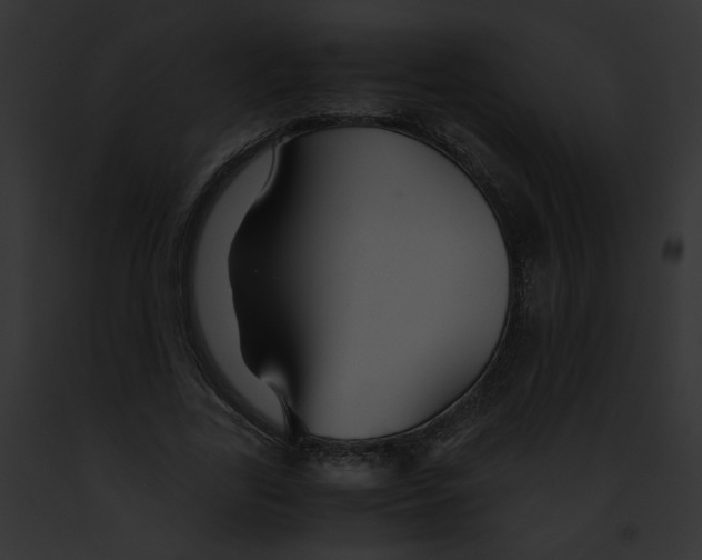 X0000091860731200710031040