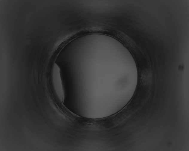 X0000091860732200710031040