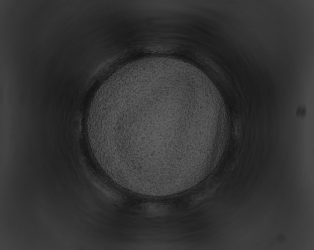 X0000091860733200710031040