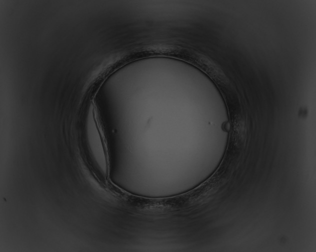 X0000091860734200710031040